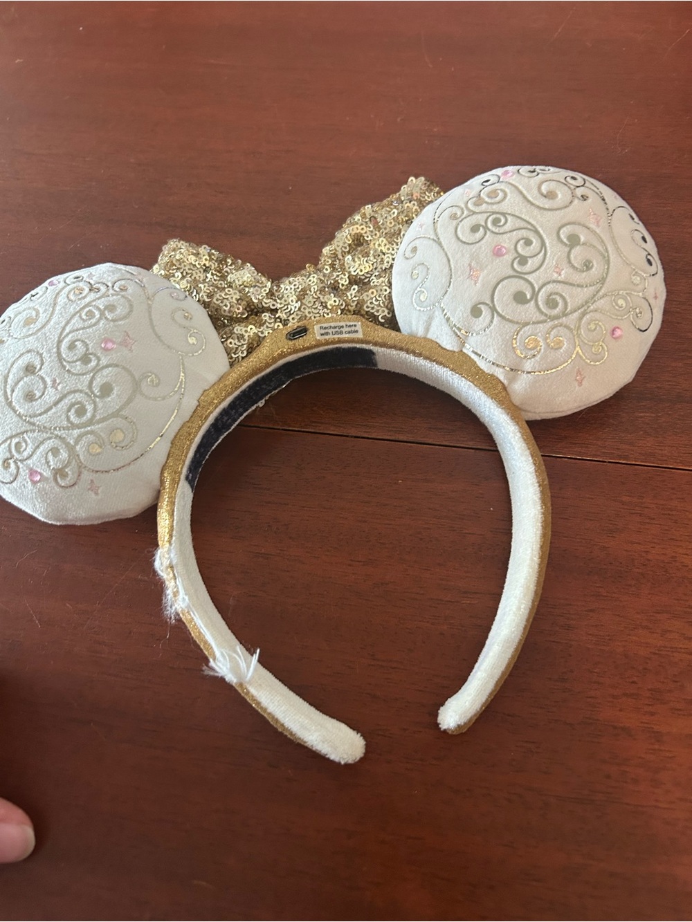 WDW 50th Anniversary Mickey Ears